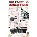 100_paintbrushes