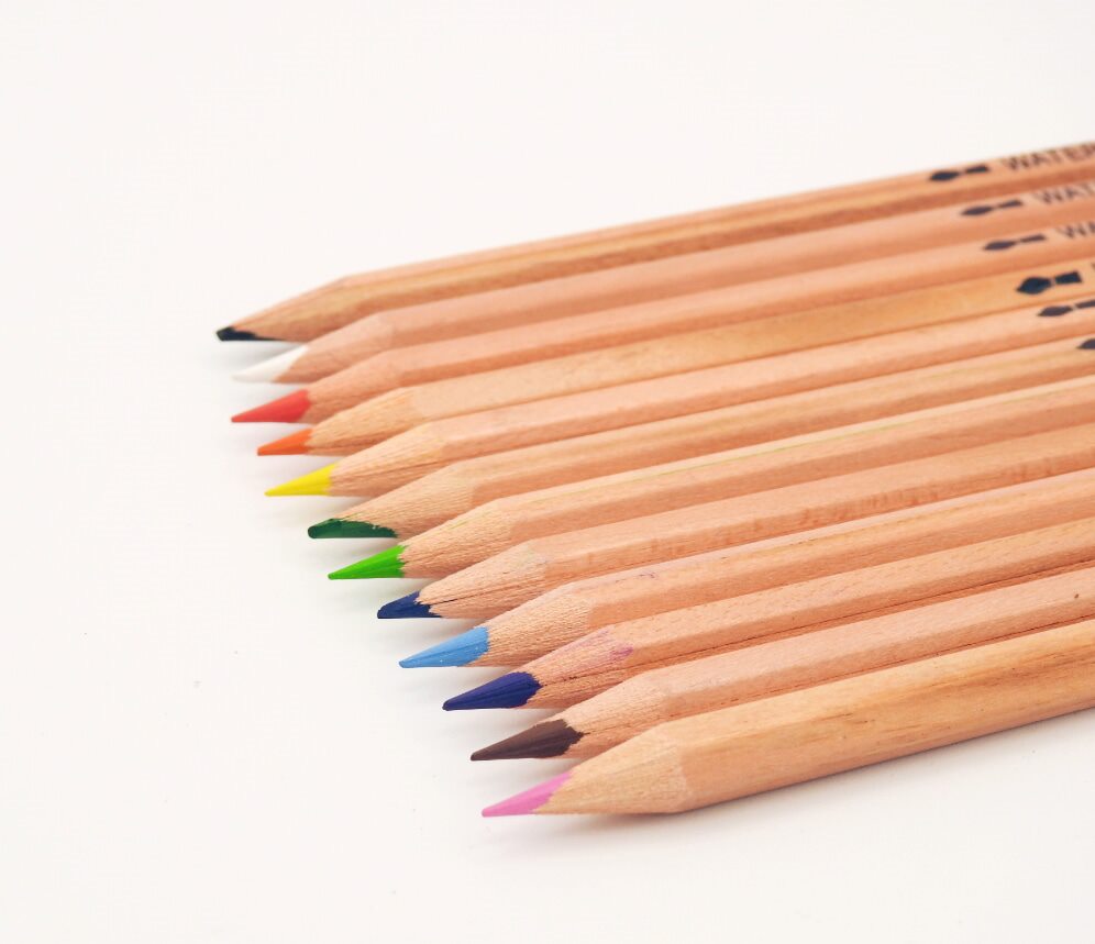 Crayons aquarelle de qualité professionnelle - 12 couleurs dans un sac vinyl