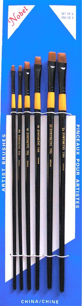 Synthetic Hair Brush - Set of 6