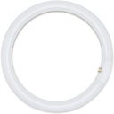 T5 22W 6400K Lightbulb, 7.25" diam., 15mm thickness, 4 pin base
