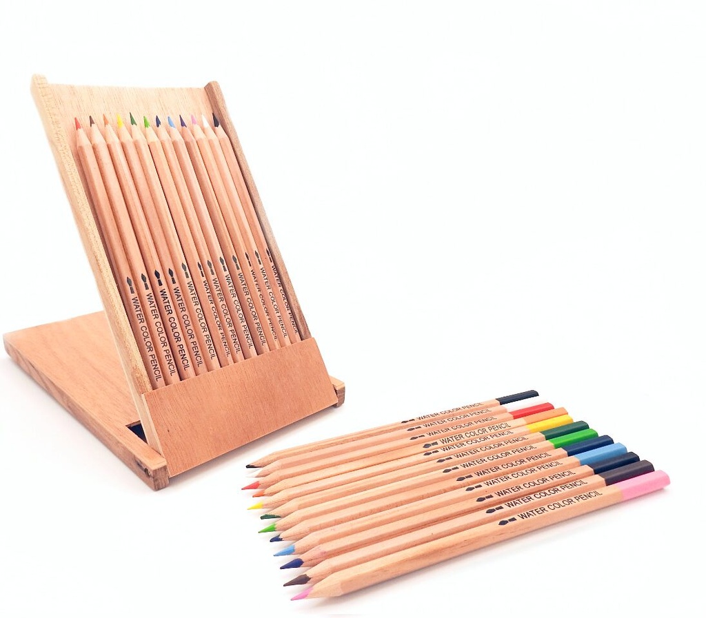 Crayons aquarelle et boîte utilitaire - 12 couleurs