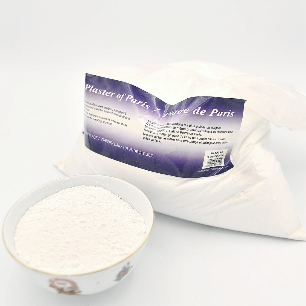Poudre de plâtre de Paris - 1 lb