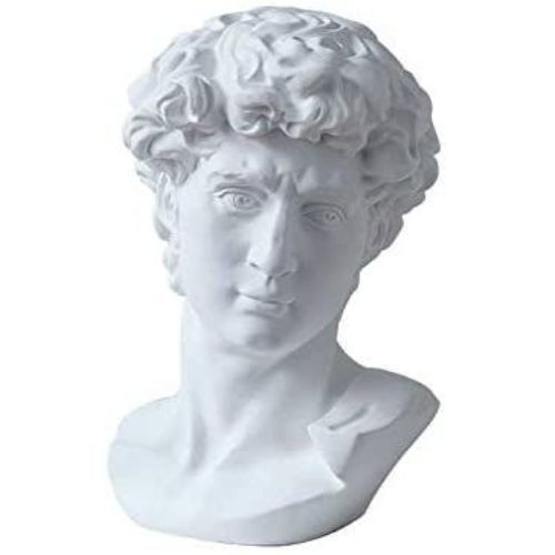 Plaster Bust - David (25")