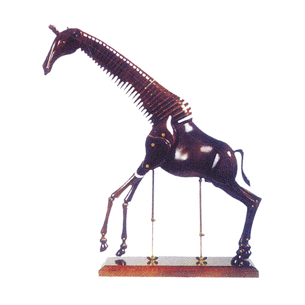 Mannequin Girafe Avec Cou Flexible