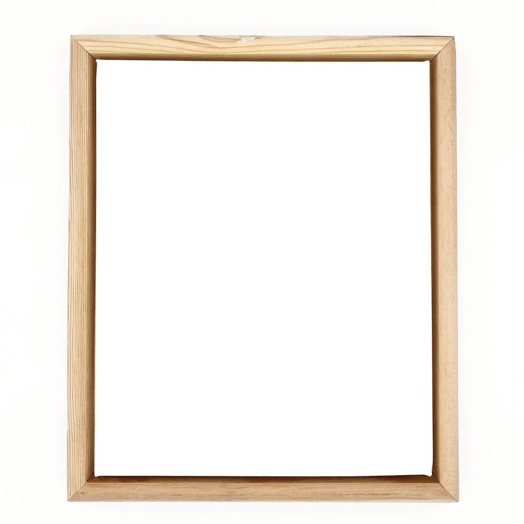 11" x 14" Standard Canvas + Shadow Box Frame (Gold)
