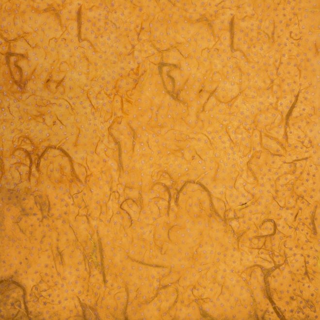 Papier mûrier (imprimé) - 18,5" x 25"