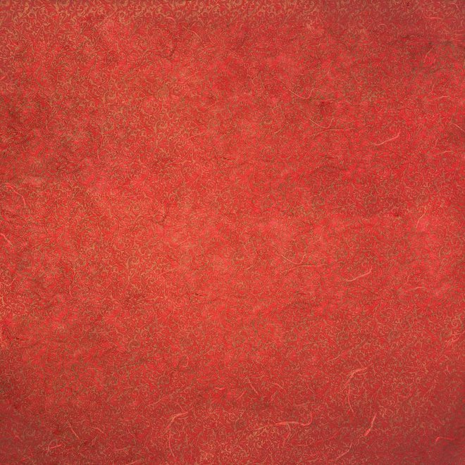 Papier mûrier (imprimé) - 18,5" x 25"