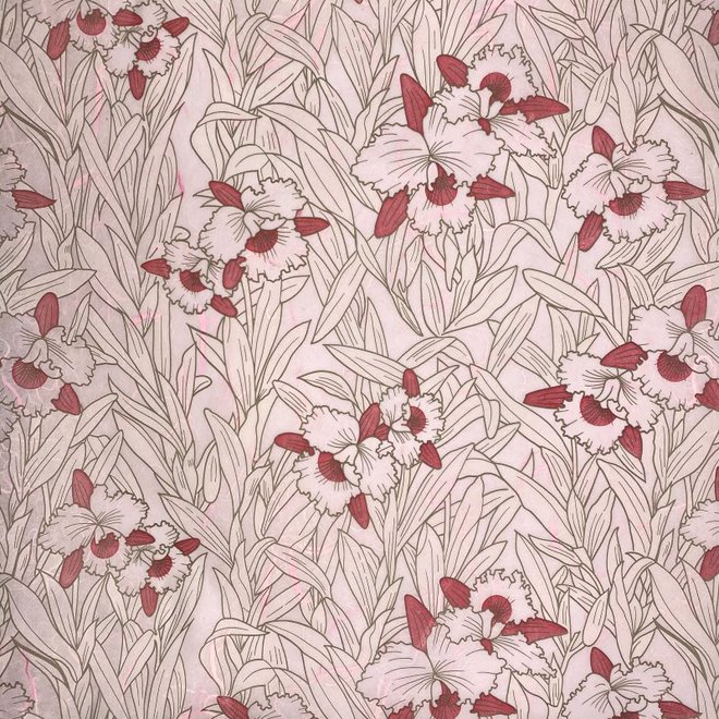 Mulberry Paper (Print) - 18.5" x 25"