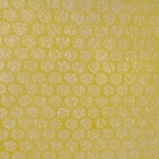 Mulberry Paper (Yellow) -  18.5" x 25"