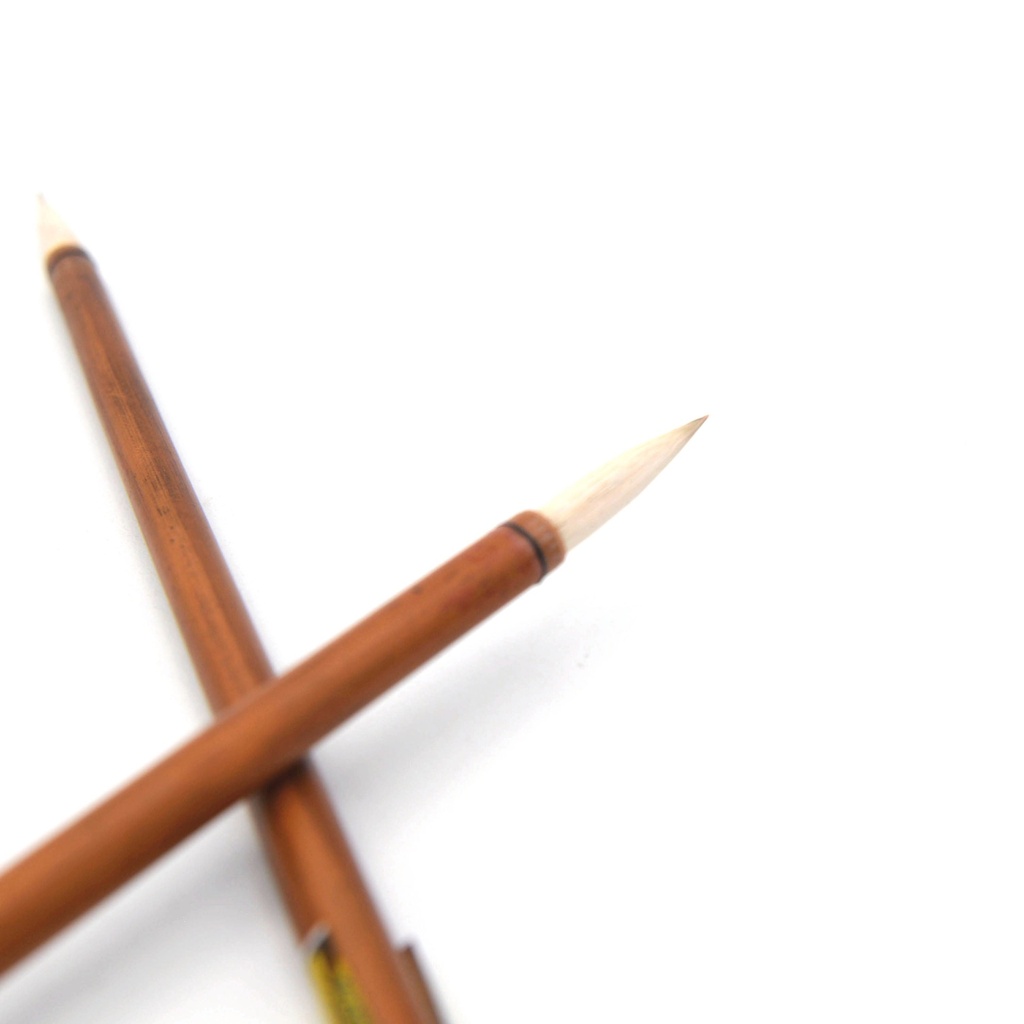 Buisson de bambou à poils mixtes Bai Yung - Zhong Da Bai Yun