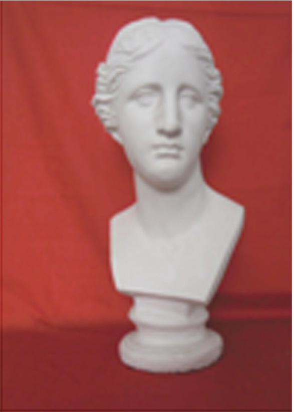 Buste en Plâtre - Vénus (24")