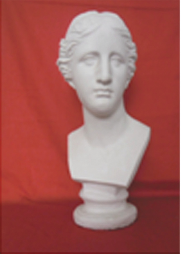 Plaster Bust - Venus (24")