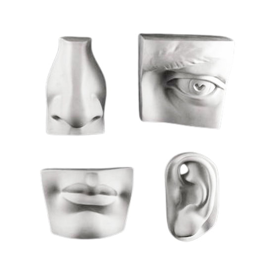 Plaster Bust - Facial Features Set (8")