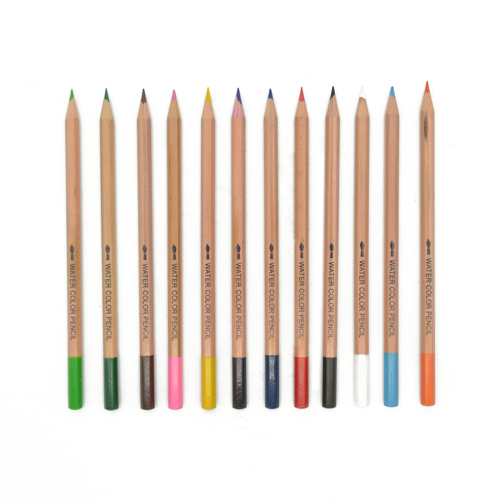 Crayons aquarelle de qualité professionnelle - 12 couleurs