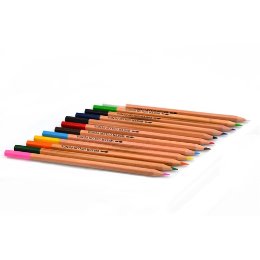 [NB CP12] Crayons de couleur d'artiste - Ensemble de qualité professionnelle 12