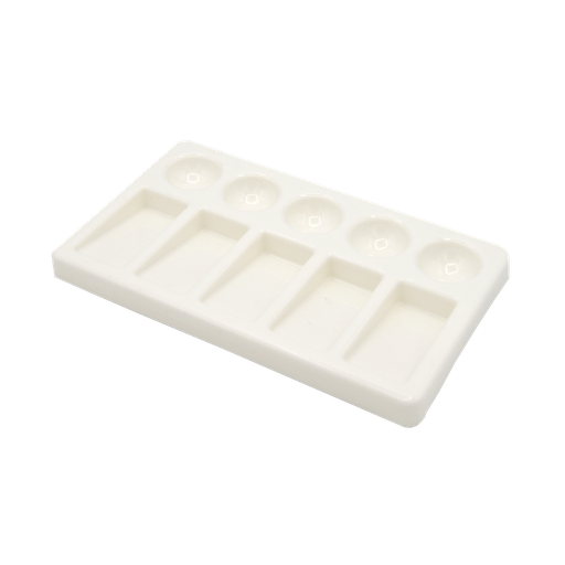 [FC 404-90] Palette rectangulaire en plastique à 10 puits (5 puits, 5 inclinaisons)