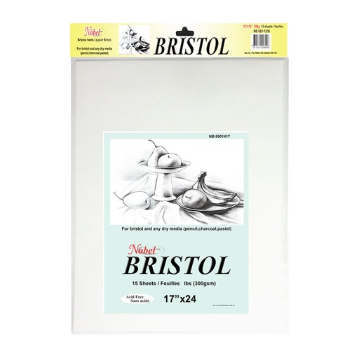 [NB 681-1724] 300g Bristol Sheets .Dry Media Paper Bristol Sheets - Dry Media Paper 17" x 24"