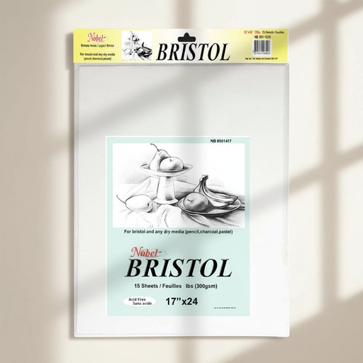 [NB 681-1724] 300g Bristol Sheets .Dry Media Paper Bristol Sheets - Dry Media Paper 17" x 24"