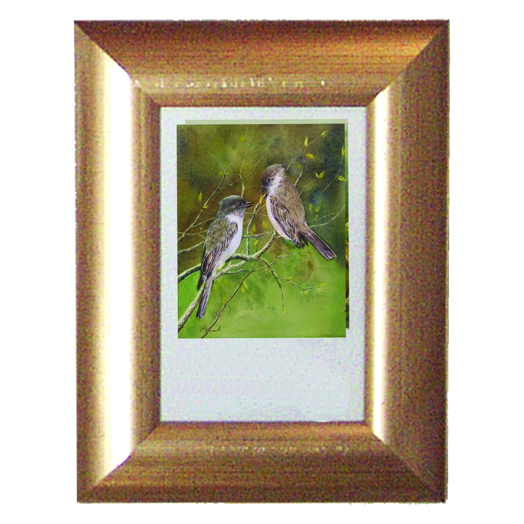 4cm Wide Picture Frame