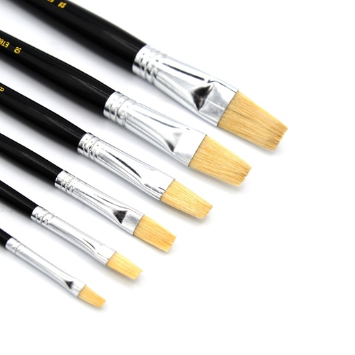 [ET 6-1] Eterna Value Pack - White Hog Bristle Brush with Long Handle - Set of 6 Flat