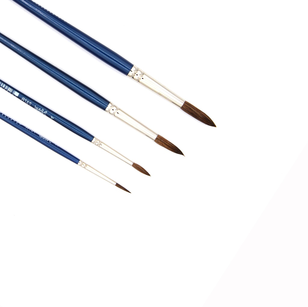 Aquarius - Pony & Ox-Ear Camel Hair Short Handle Brushes - Set Of 4