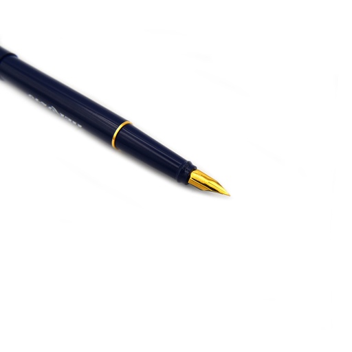 [FC 23-A3] Stylo Calligraphie - Pointe Fine