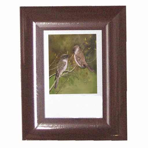 [FR PS562M-46] 4 cm Wide Brown Picture Frame 4" x 6"