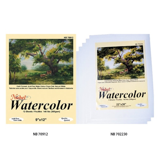 [NB 701620] 300 gsm Holland Watercolor Paper Pad 16" x 20" - 12 Sheets