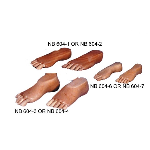 [FC 604-1] Male Mannequin (Right Foot)