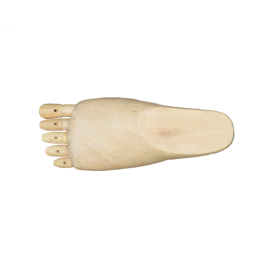 [FC 604-4] Female Mannequin (Left Foot)