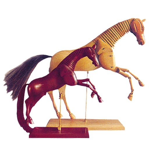 [FC 603-1] Mannequin de cheval en bois dur -12"