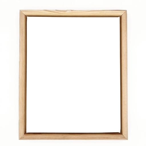 [D004G1114] 11" x 14" Standard Canvas + Shadow Box Frame (Gold)