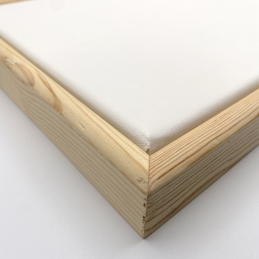 [D004G1212] 12" x 12" Standard Canvas + Shadow Box Frame (Gold)