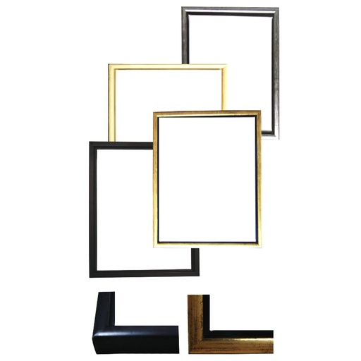 [D004G1216] 12" x 16" Standard Canvas + Shadow Box Frame (Gold)