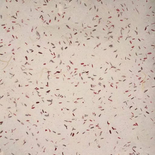 [FC 40-0633] Mulberry Paper (Natural Speckled) - 18.5" x 25"