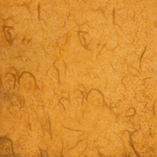 [FC 40-345] Papier mûrier (imprimé) - 18,5" x 25"