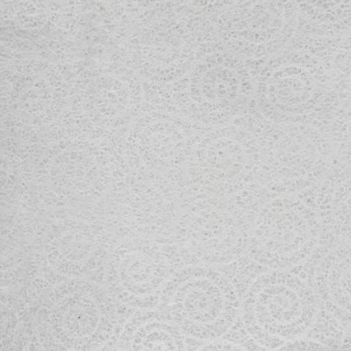 [FC 50-203] Mulberry Paper (White Pattern) -  18.5" x 25"