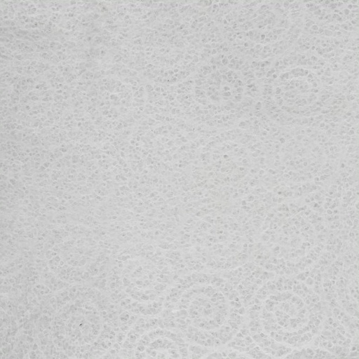 [FC 50-203] Papier mûrier - 18,5" x 25"