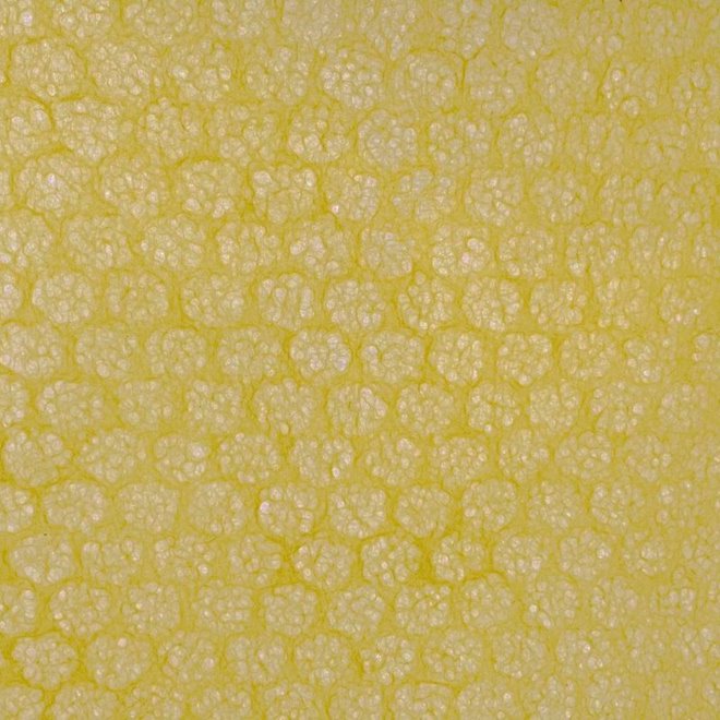 [FC 50-204] Mulberry Paper (Ochre) -  18.5" x 25"