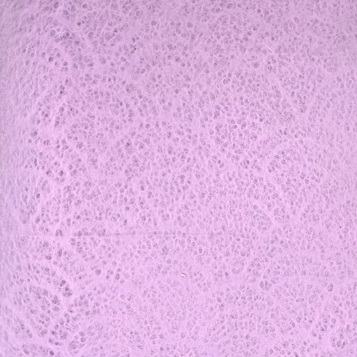 [FC 50-206] Papier mûrier (violet clair) - 18,5" x 25"