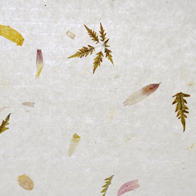 [FC 30-20] Handmade Paper With Leaves - 25" x 36"