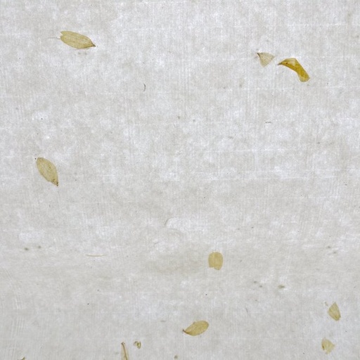 [FC 30-22] Handmade Paper With Flowers And Leaves - 25" x 36"