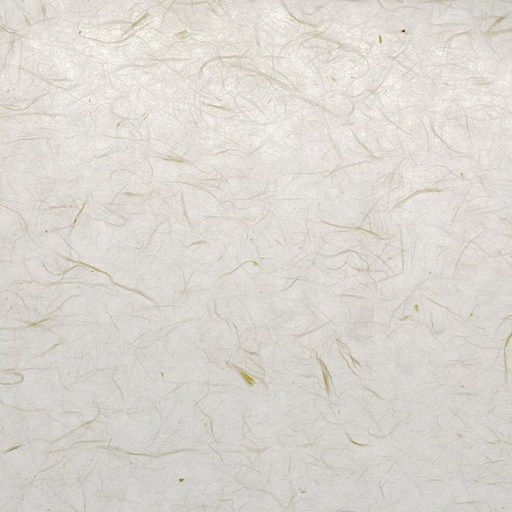 [FC 30-22] Handmade Paper With Flowers And Leaves - 25" x 36"