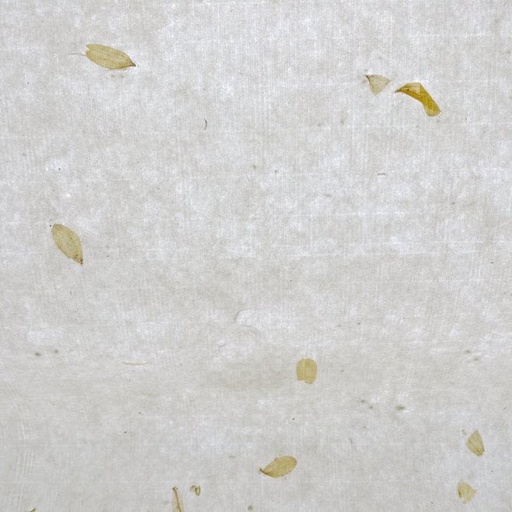 [FC 30-380] Papier mûrier fait main (blanc) - 25" x 36"