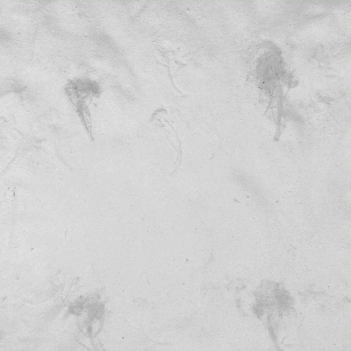 [FC 40-406] Papier fait main avec fleurs - 20" x 30"