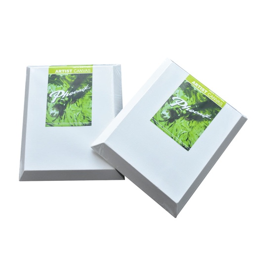 [FC 5305BV45-1012] Beveled Edge Convexo Canvas - 10" x 12"