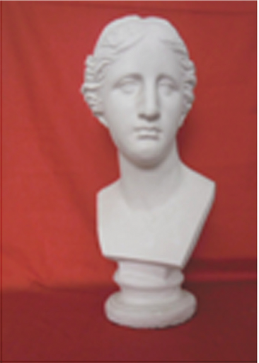 [NB TS-11] Plaster Bust - Venus (24")