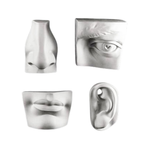 [NB TS-9] Plaster Bust - Facial Features Set (8")