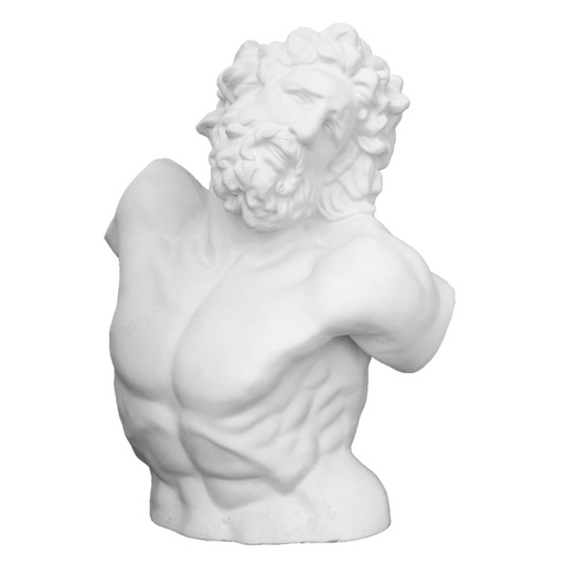 [NB TS-14] Plaster Bust - Laocoon (34")